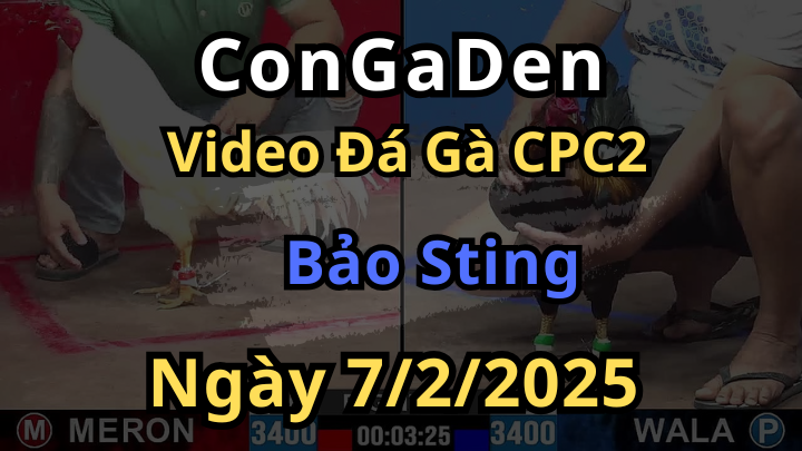Tổng Hợp Video Của Bảo Sting 
Ở C2 Ngày 7/2/2025