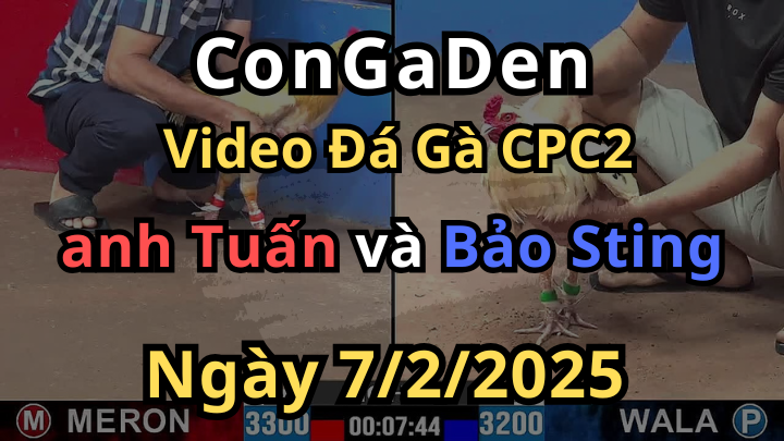 Mẽ Hiệu Bảo Sting Gục Ngã Trước Khét Sữa CPC2 7/2/2025