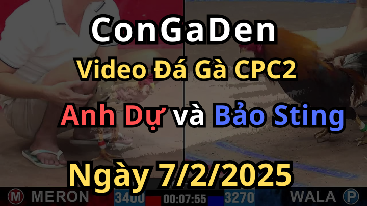 Anh Dự Phản Phút Chót Bảo Sting Ngậm Đắng CPC2 7/2/2025