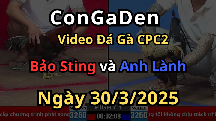 Bảo Sting mở bát đỉnh nốc kịch trần cpc2 30/3/2025
