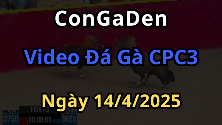 Phát lại Đá Gà CPC3 ngày 14/4/2025