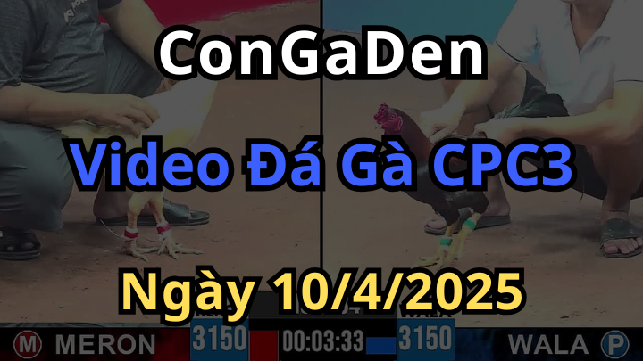 Phát lại trực tiếp Đá Gà CPC3 ngày 10/4/2025 tại Congaden