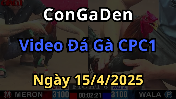 Phát lại đá gà cpc1 ngày 15/4/2025 mới nhất có Bình Luận