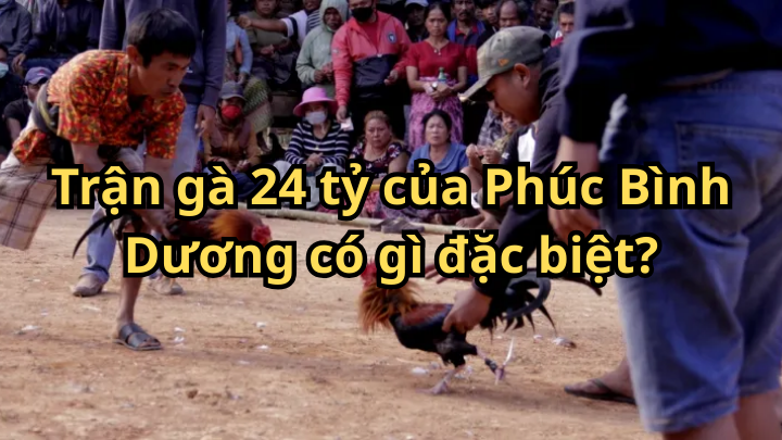 Trận gà 24 tỷ của Phúc Bình Dương hôm nay có gì đặc biệt?
