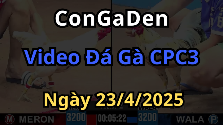 Phát lại Đá Gà CPC3 ngày 23/4/2025 Có Bình Luận