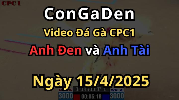 Mở Bát kiểu này thì anh em chạy hết CPC1 15/4/2025