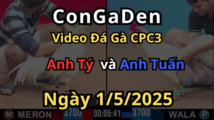 Đá 3 cước quy tiên bắn sting quá trời CPC3 1/5/2025