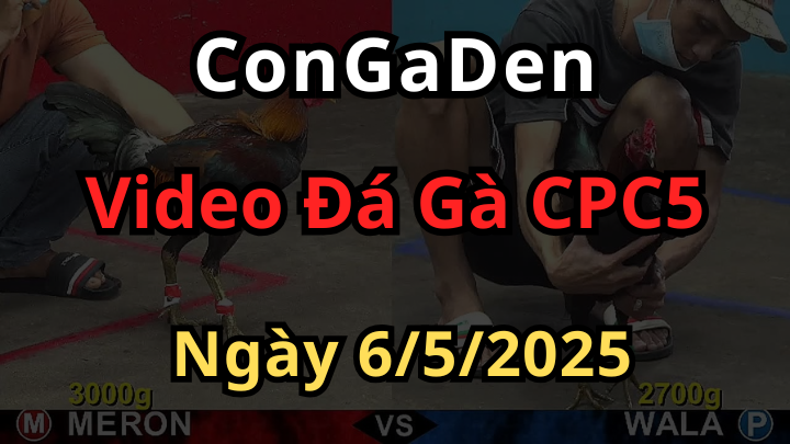 Nhỏ mà có võ chấp 3 Chấm thắng dễ như ăn kẹo CPC5 6/4/2025