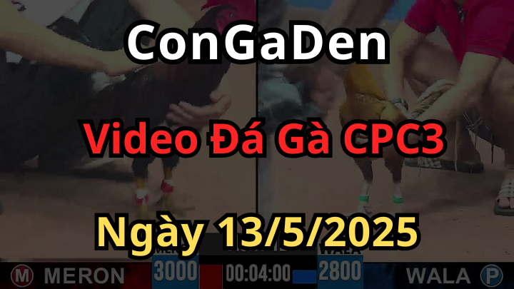 Xem Đá Gà Trực Tiếp CPC3 ngày 13/5/2025